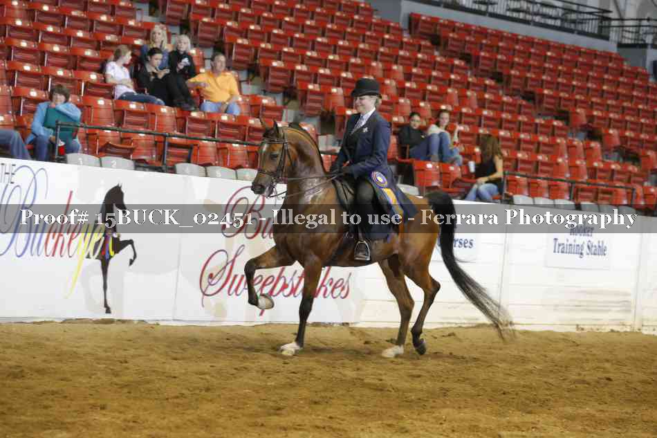 Proof 15BUCK_02451