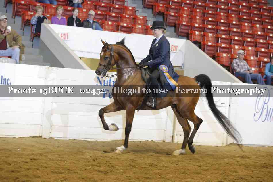 Proof 15BUCK_02452