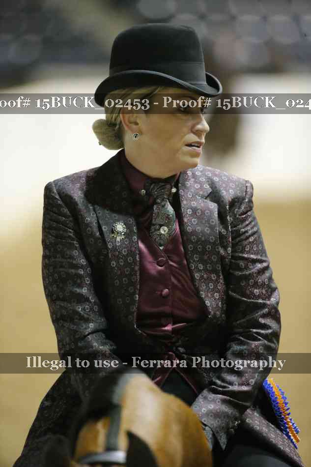 Proof 15BUCK_02453