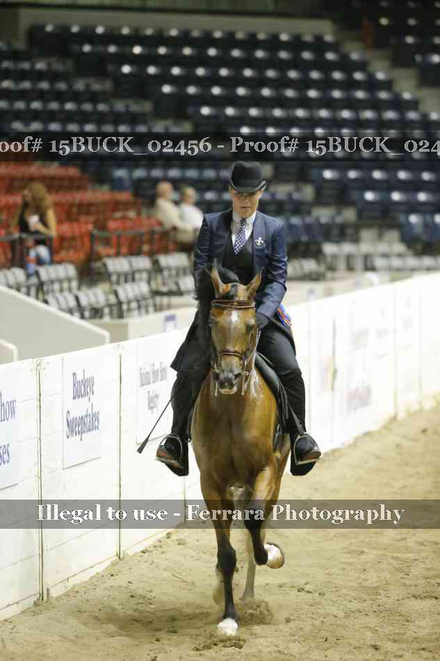 Proof 15BUCK_02456