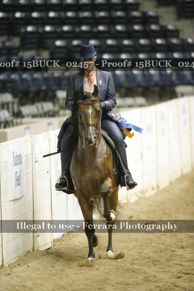 Proof 15BUCK_02457