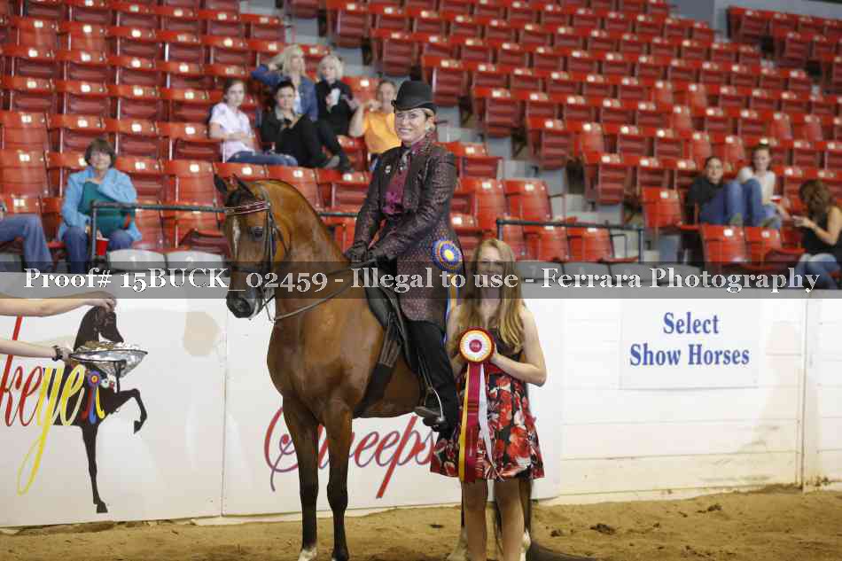 Proof 15BUCK_02459