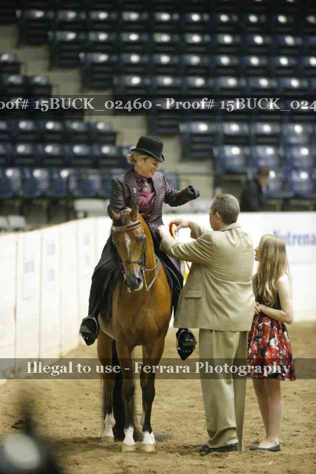 Proof 15BUCK_02460