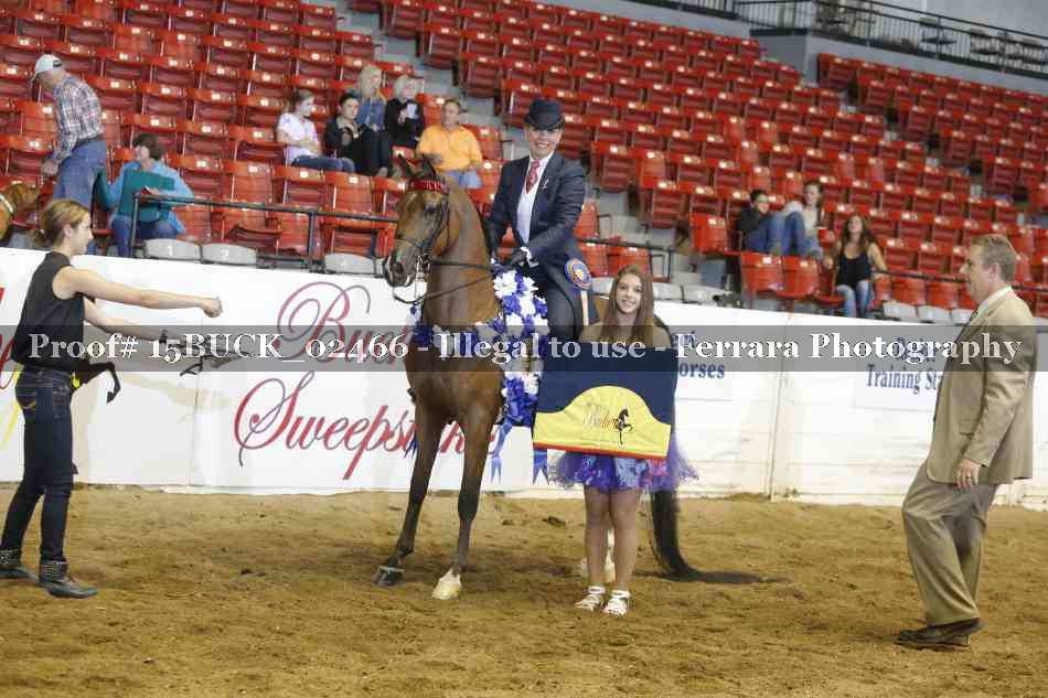 Proof 15BUCK_02466