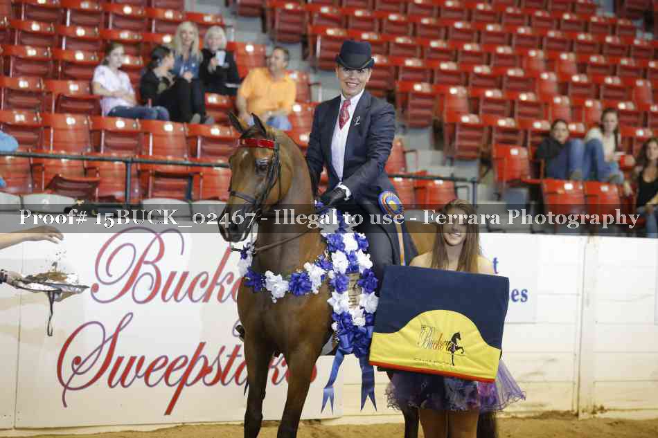 Proof 15BUCK_02467