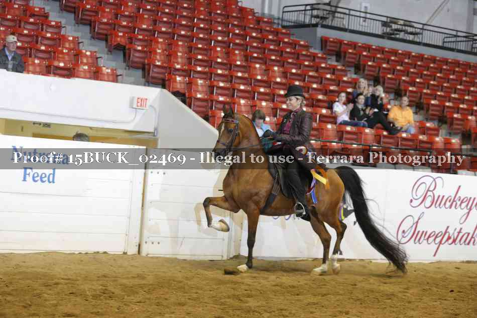 Proof 15BUCK_02469