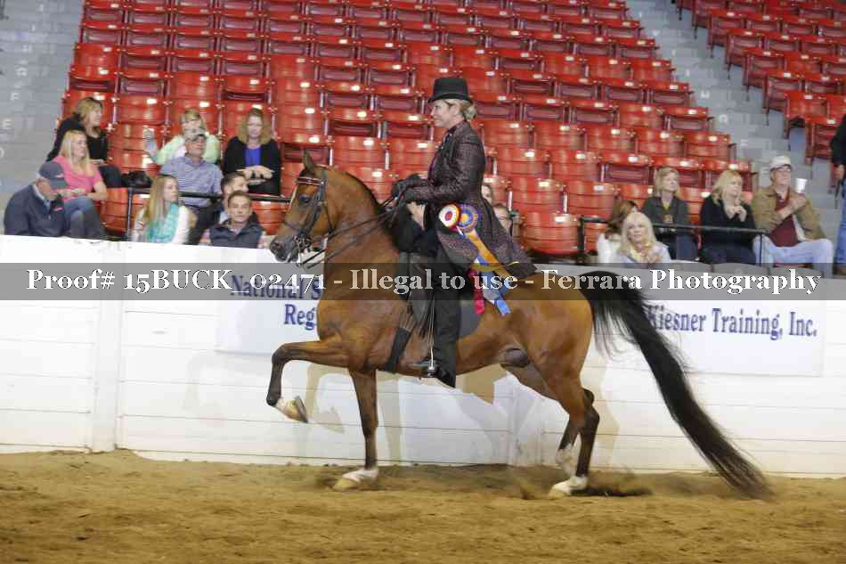 Proof 15BUCK_02471
