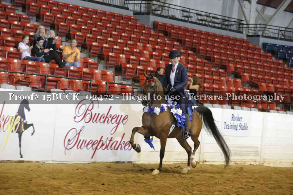 Proof 15BUCK_02472