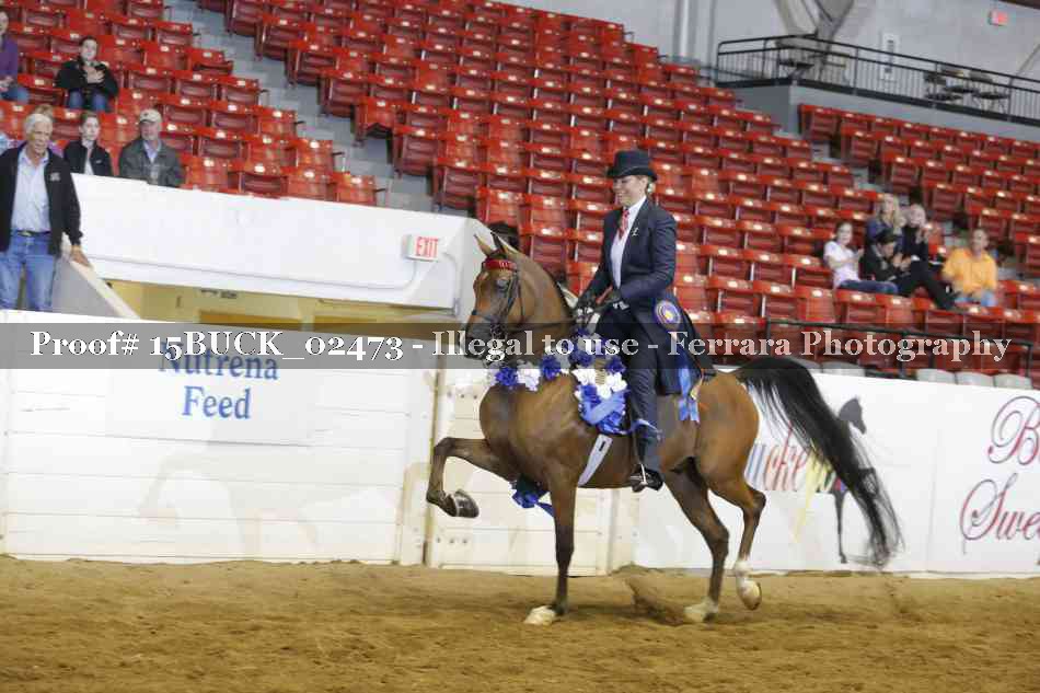 Proof 15BUCK_02473