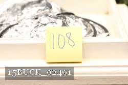 15BUCK_02491 proof