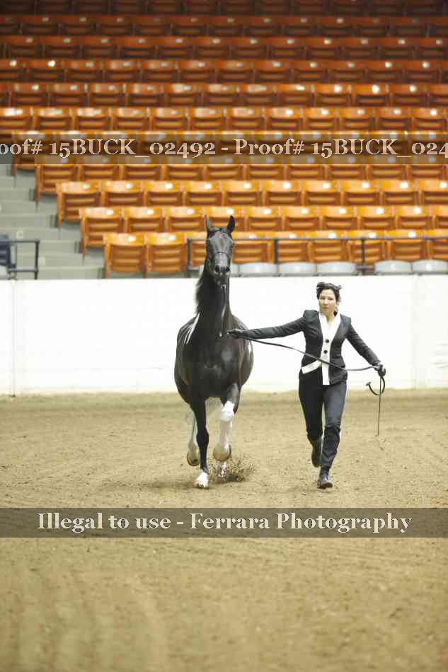 Proof 15BUCK_02492