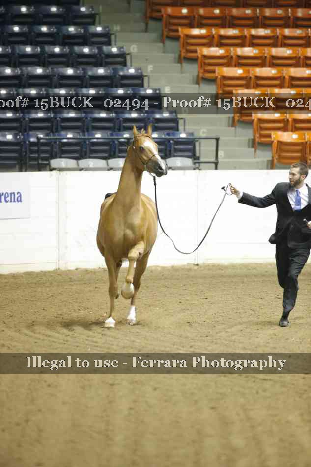 Proof 15BUCK_02494