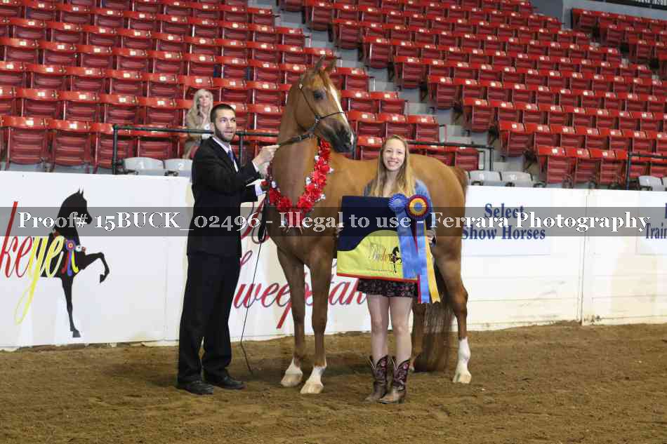 Proof 15BUCK_02496