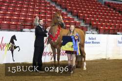 15BUCK_02496 proof