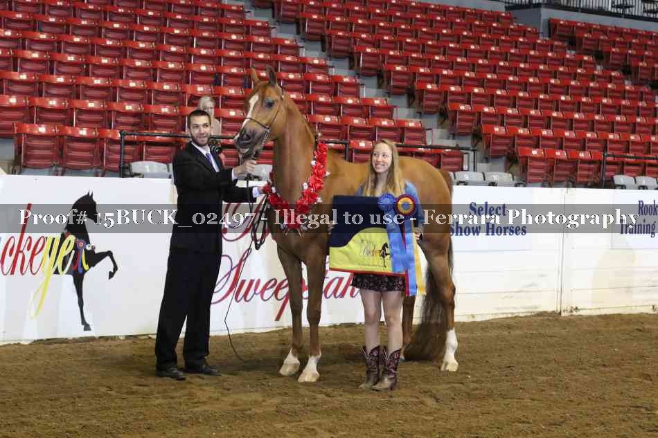 Proof 15BUCK_02497
