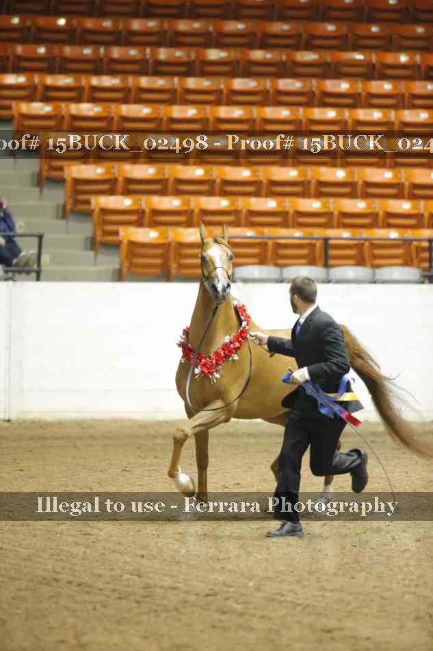 Proof 15BUCK_02498
