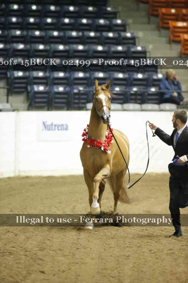 Proof 15BUCK_02499