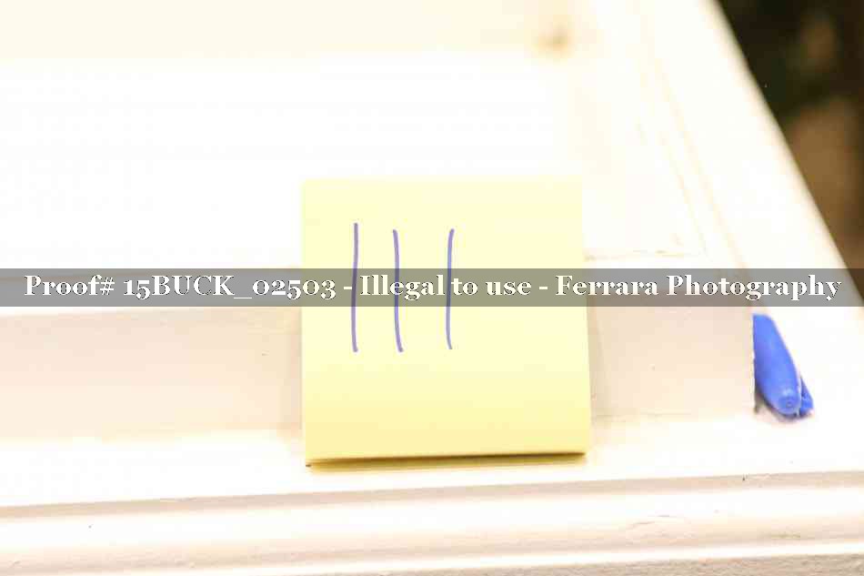Proof 15BUCK_02503