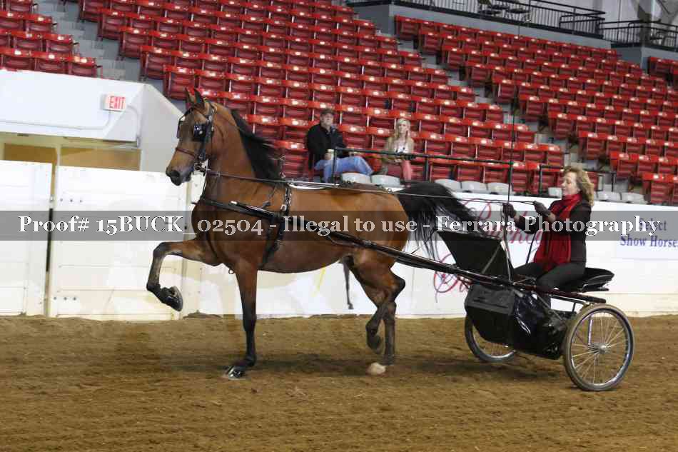 Proof 15BUCK_02504