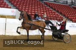 15BUCK_02504 proof