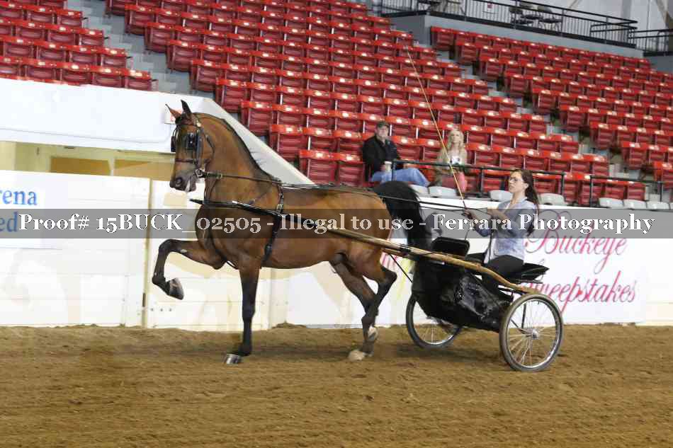 Proof 15BUCK_02505