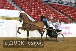 15BUCK_02505 proof