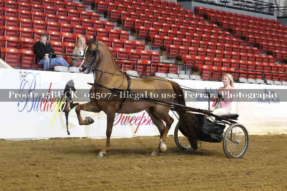 Proof 15BUCK_02507