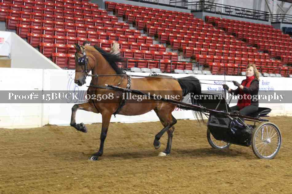 Proof 15BUCK_02508