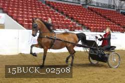 15BUCK_02508 proof
