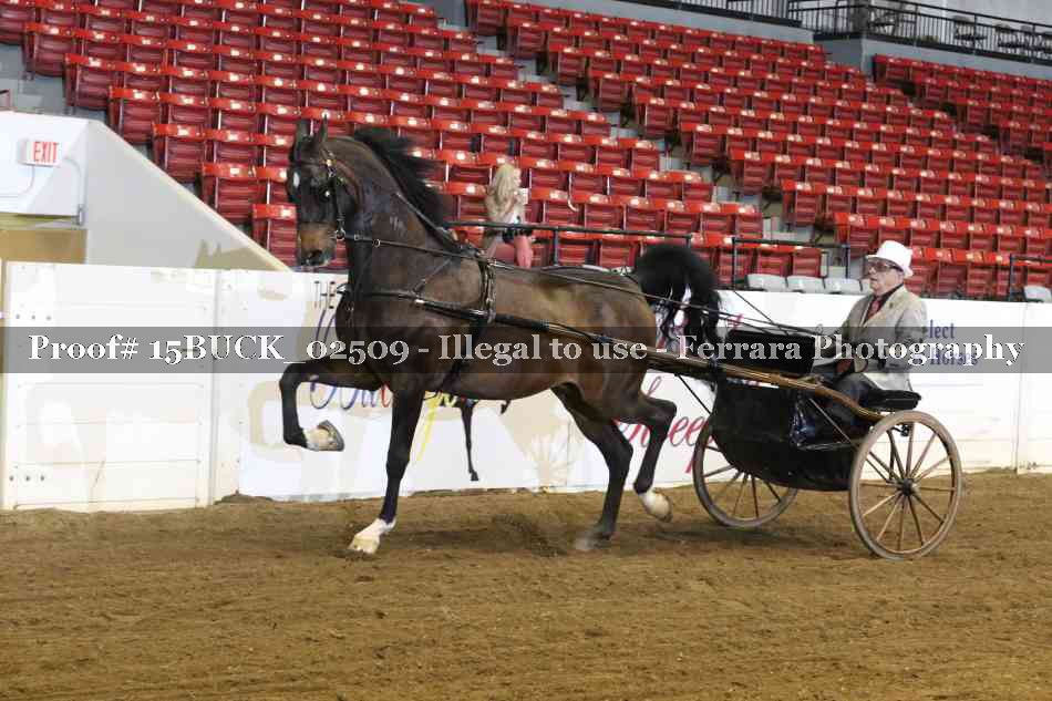 Proof 15BUCK_02509