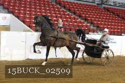 15BUCK_02509 proof