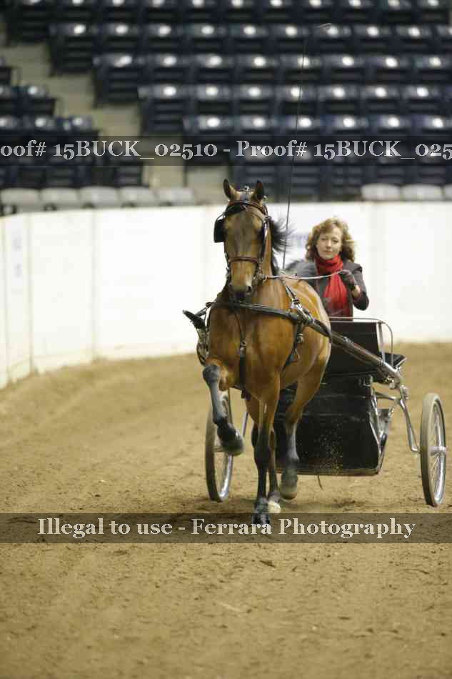 Proof 15BUCK_02510