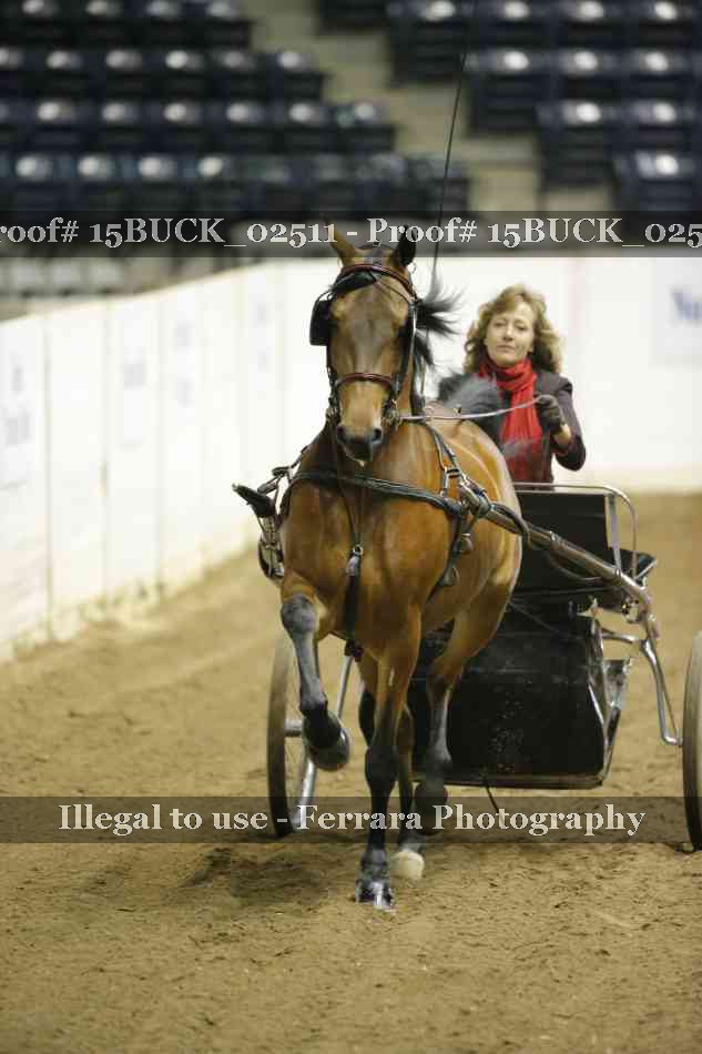 Proof 15BUCK_02511