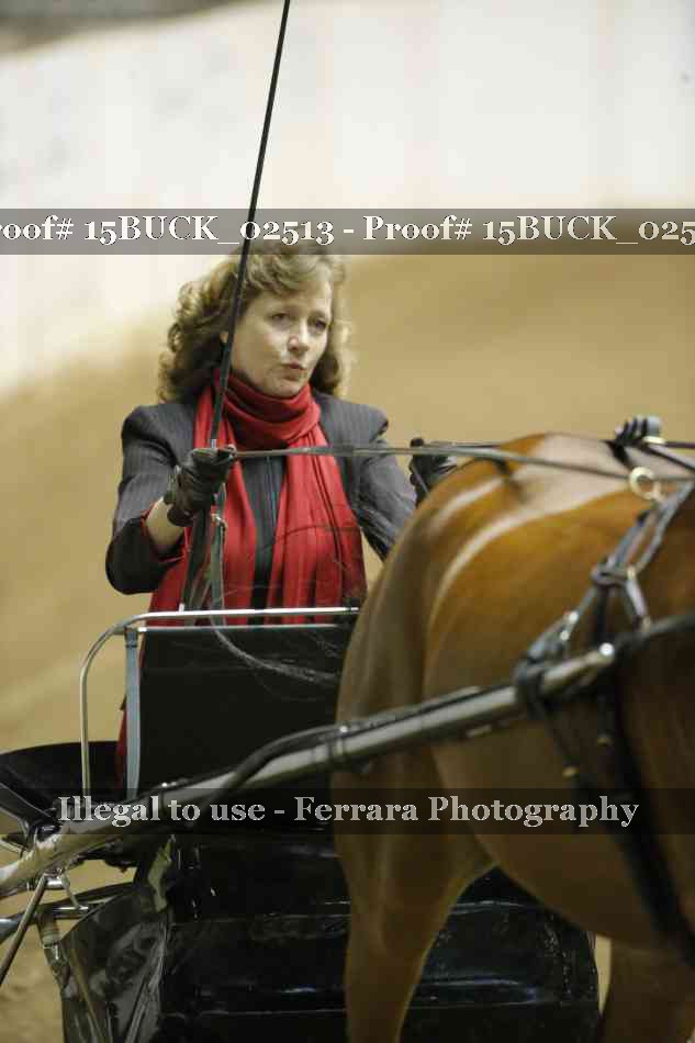 Proof 15BUCK_02513