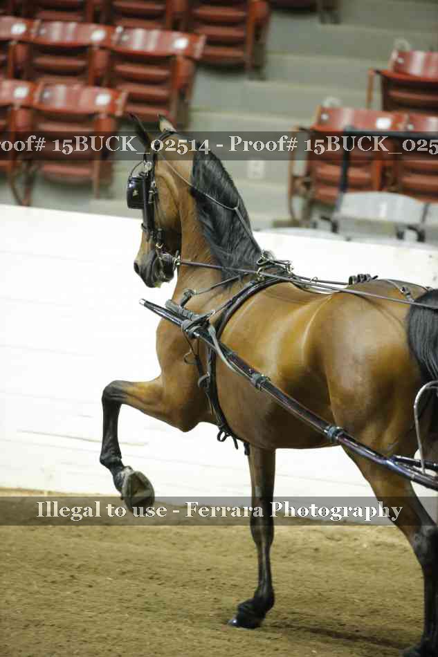 Proof 15BUCK_02514