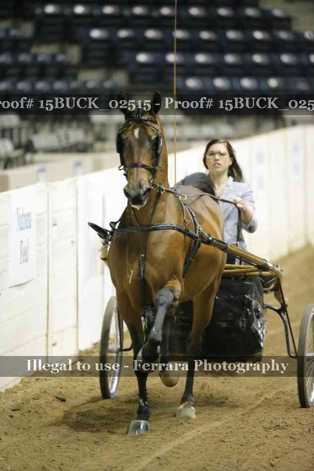 Proof 15BUCK_02515