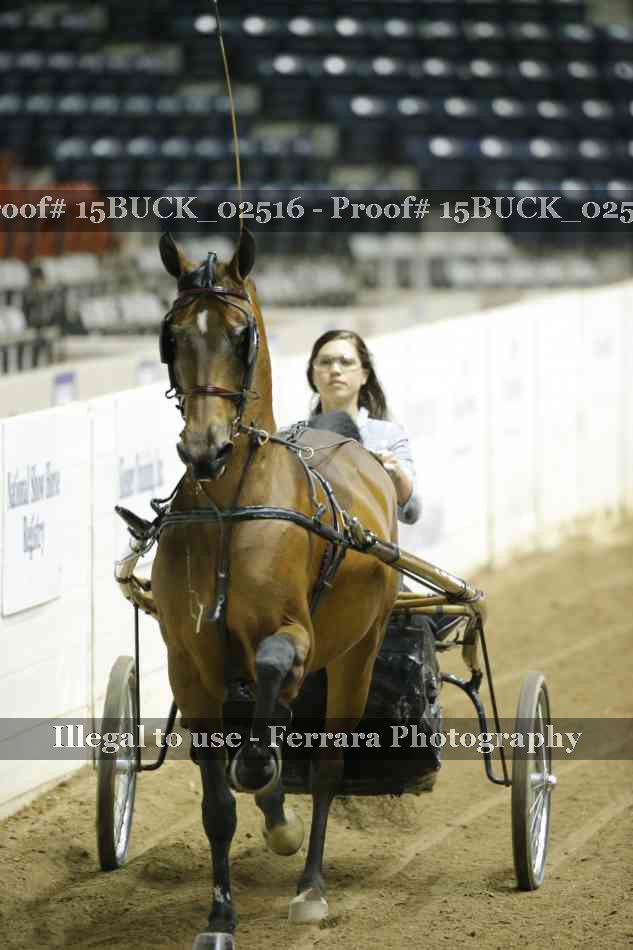 Proof 15BUCK_02516