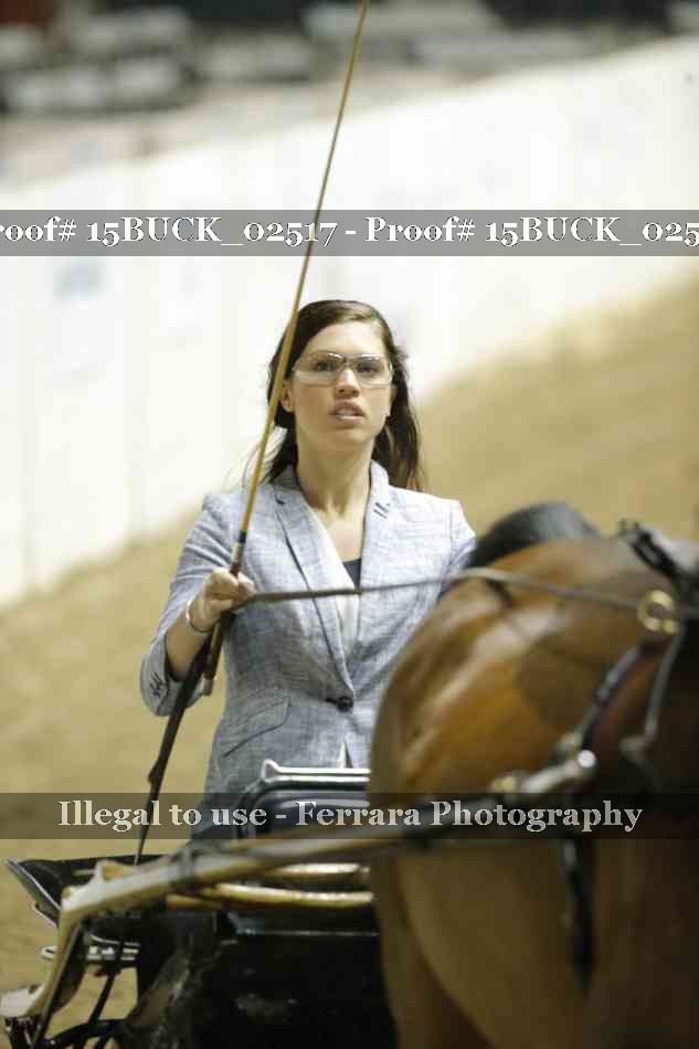 Proof 15BUCK_02517