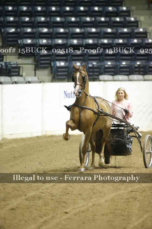 Proof 15BUCK_02518