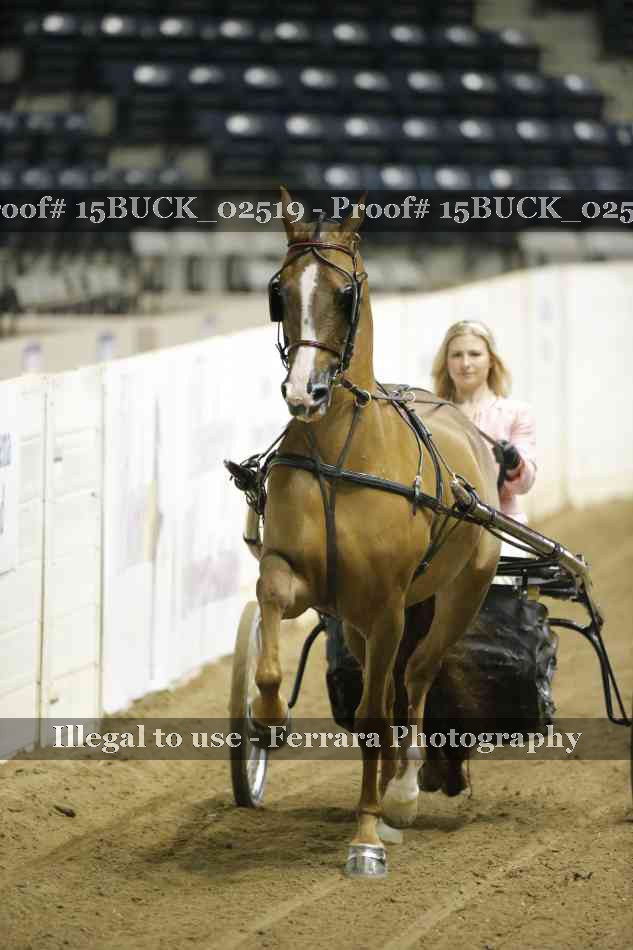 Proof 15BUCK_02519