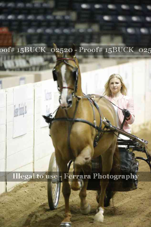 Proof 15BUCK_02520