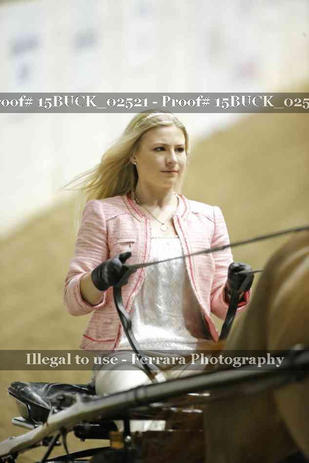 Proof 15BUCK_02521