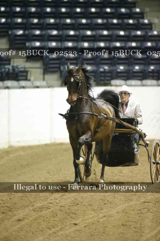 Proof 15BUCK_02523