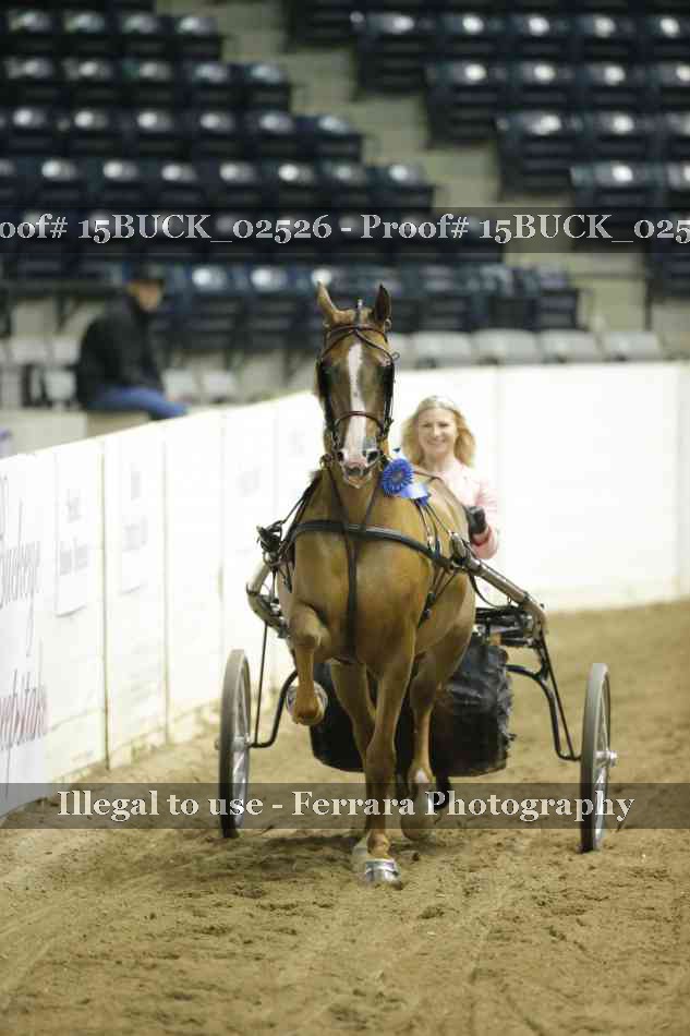 Proof 15BUCK_02526
