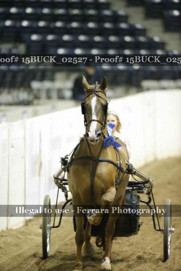 Proof 15BUCK_02527