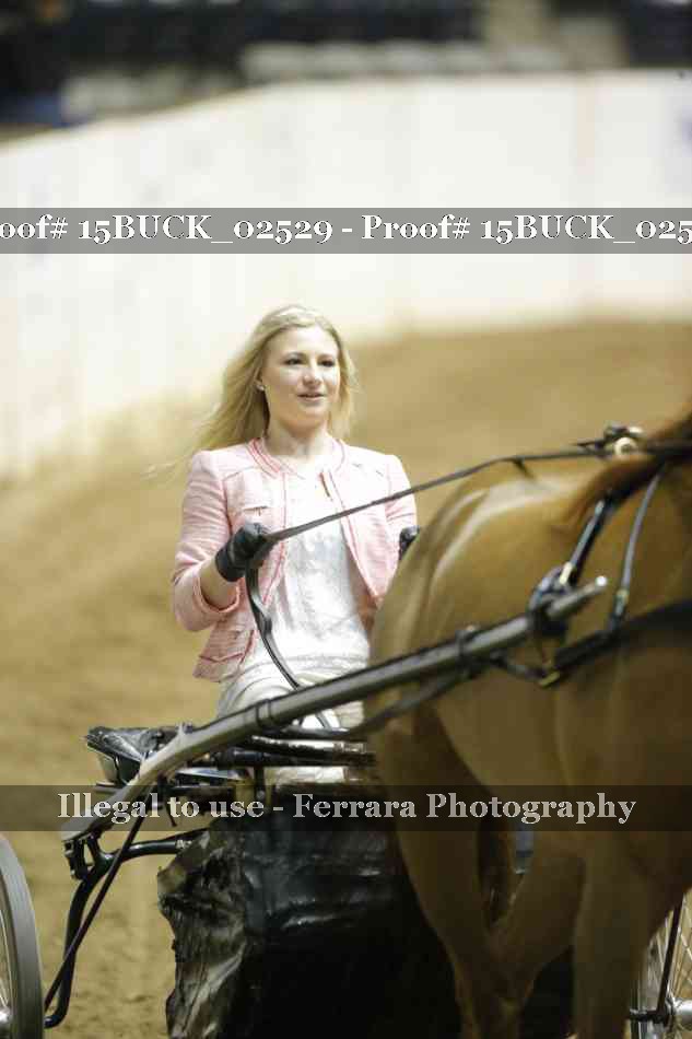 Proof 15BUCK_02529