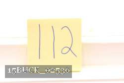 15BUCK_02536 proof