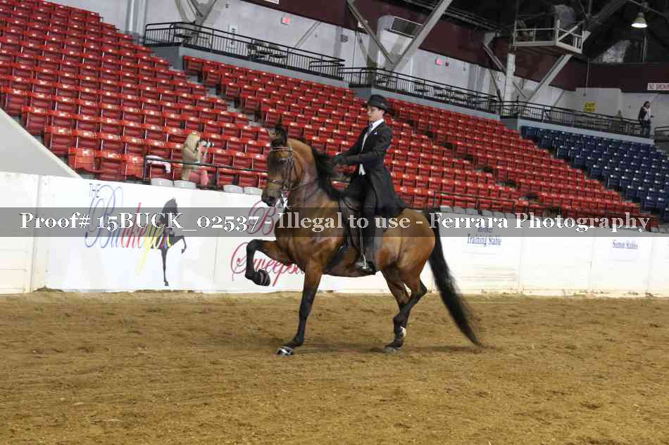 Proof 15BUCK_02537