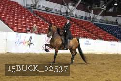 15BUCK_02537 proof