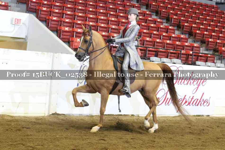 Proof 15BUCK_02538